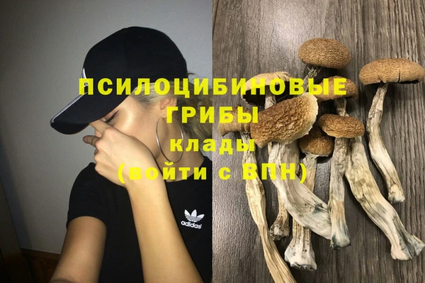 СК Магадан