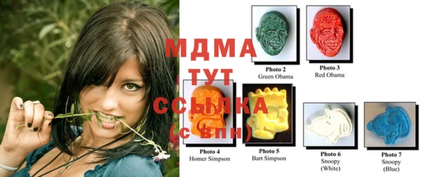 хмурый Лагань