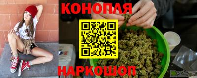амф Кингисепп