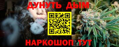 амф Кингисепп