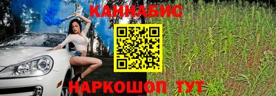 спайс Кинель