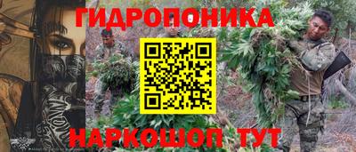 амф Кингисепп