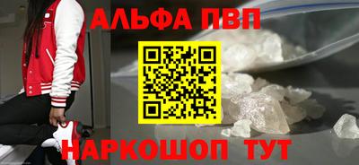 амф Кингисепп
