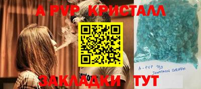 амф Кингисепп