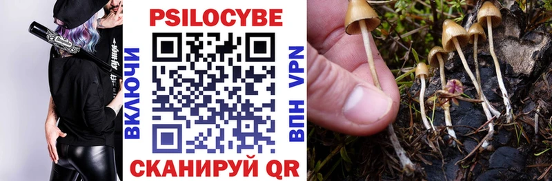 сколько стоит  Мелеуз  Псилоцибиновые грибы Psilocybe 