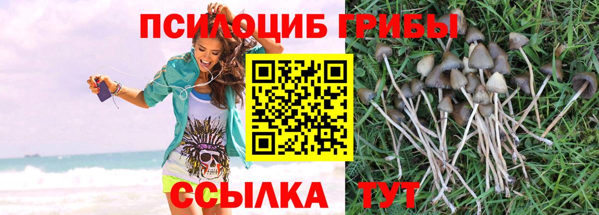 Псилоцибиновые грибы ЛСД  Псилоцибиновые грибы Magic Shrooms  Мелеуз  Вход с VPN 